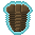 Trilobite Fossil.png