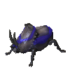 Azuridae Goliathus.png