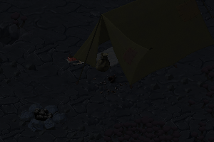 Random cave 1 camp.png