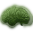 Mind Fog icon