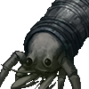 Xpbl hermitcrab7 l.png