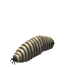 Giant Grub.png