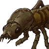 Mole cricket l.png