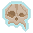 Mutated Infant Skull.png